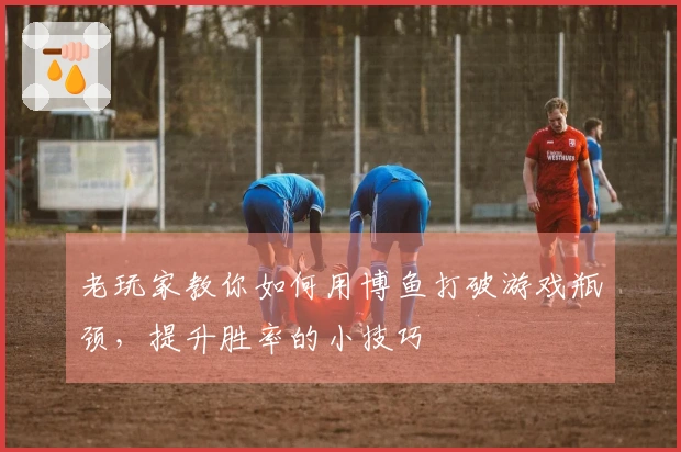 老玩家教你如何用博鱼打破游戏瓶颈，提升胜率的小技巧