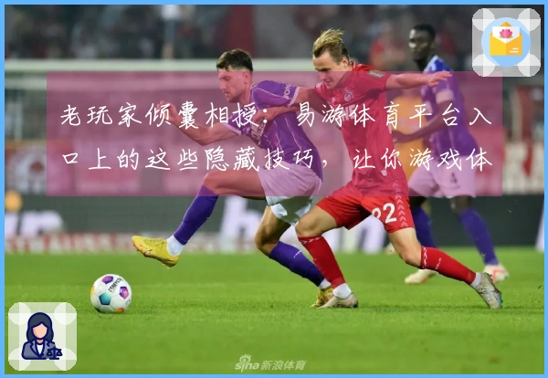 老玩家倾囊相授：易游体育平台入口上的这些隐藏技巧，让你游戏体验大不同