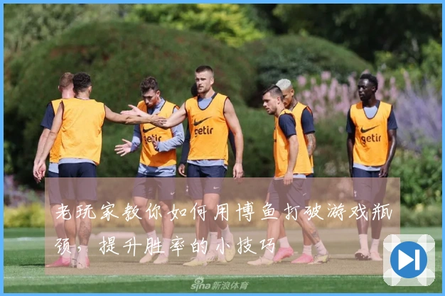 老玩家教你如何用博鱼打破游戏瓶颈，提升胜率的小技巧
