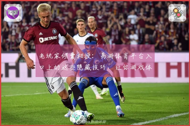 老玩家倾囊相授：易游体育平台入口上的这些隐藏技巧，让你游戏体验大不同